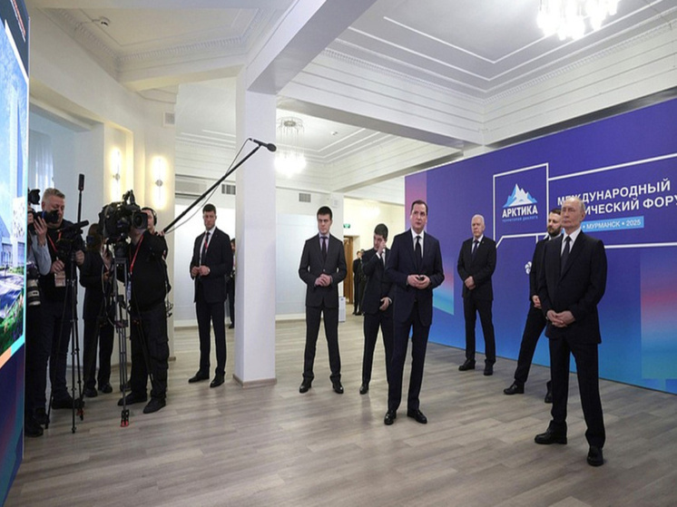 Мастер-планы Певека и Билибино представили президенту России