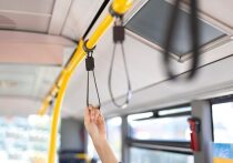 В Красноярске с 1 апреля стоимость проезда в общественном транспорте снизится на 9 рублей при использовании системы быстрых платежей (СБП)