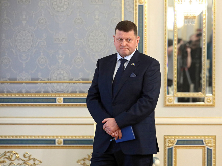 Экс-главком ВСУ Залужный не стал комментировать свое возможное участие в выборах