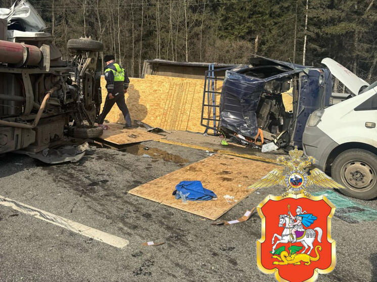 Семилетний мальчик погиб в ДТП в Подмосковье