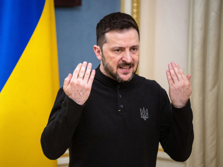 Боуз: Трампу нужно прекратить вести дела с Зеленским из-за его зависимости от ЕС