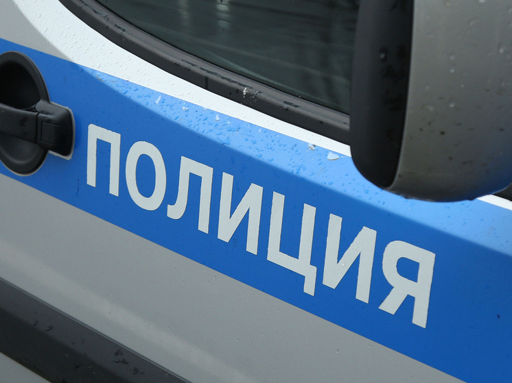 Предмет, напоминающий БПЛА, обнаружен в Новой Москве