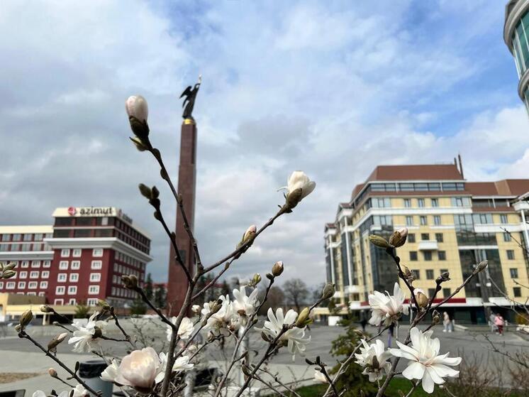 На Ставрополье стартовал месяц безопасности труда