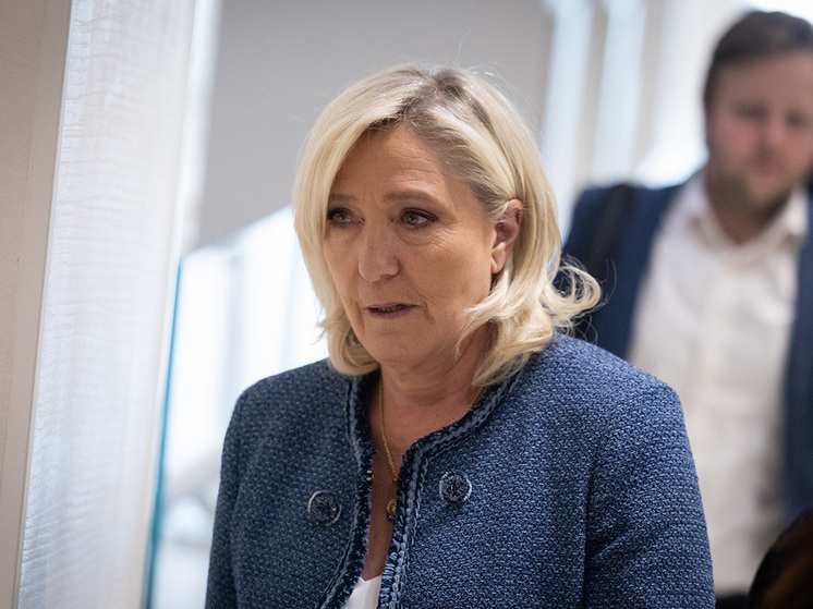 AFP: против Марин Ле Пен началось новое расследование из-за угроз судьям