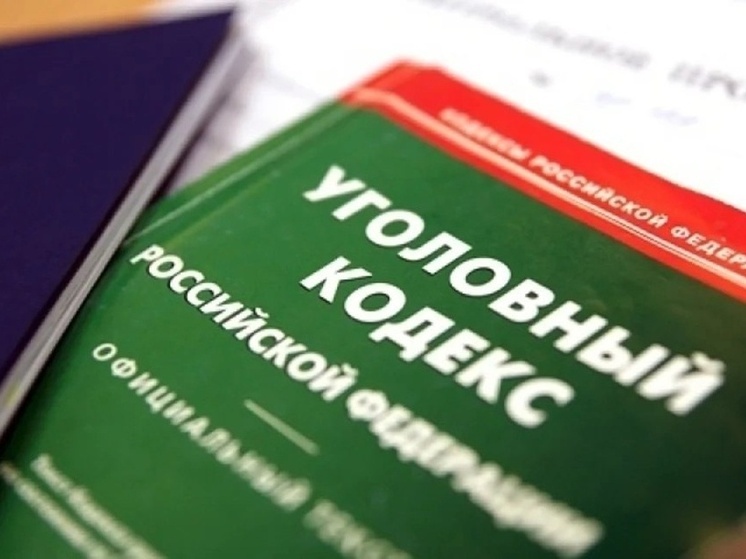 В Запорожской области завершено расследование убийства 61-летней женщины