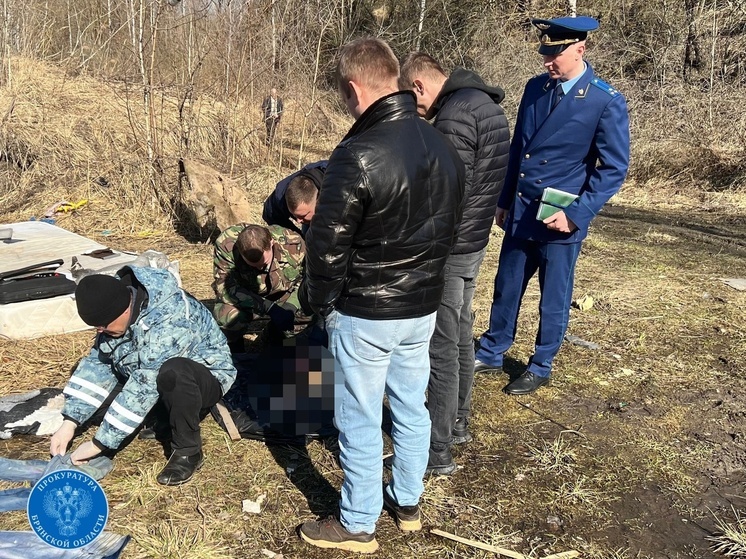 В Брянске задержали расчленившего тело сожительницы убийцу