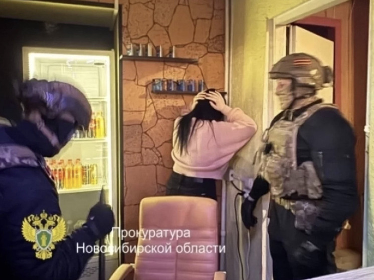 Молодая жительница Новосибирска сядет в тюрьму за организацию подпольных игр
