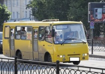 С 3 апреля изменили стоимость проезда в трех межмуниципальных автобусах, которые курсируют из пригорода в Курган