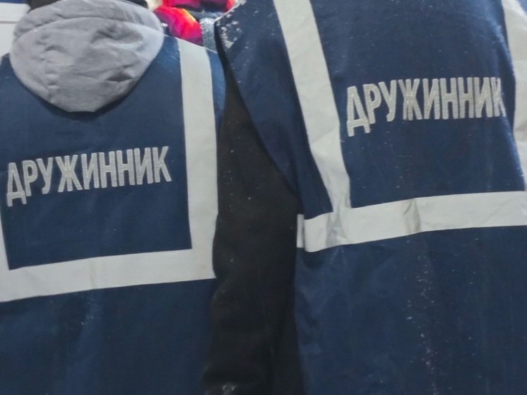 Дружинники вместе с полицией провели более 40 рейдов в Вологодской области