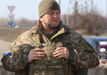 Будут на Украине выборы этим летом или не будут — пока неведомо