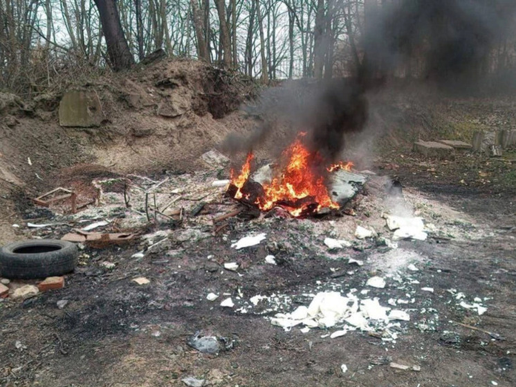 В Зеленоградском районе мужчина поплатился за костер из бытовой техники
