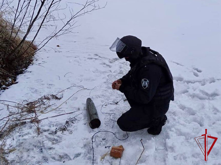 Боевой снаряд найден и обезврежен на территории Еврейской автономии