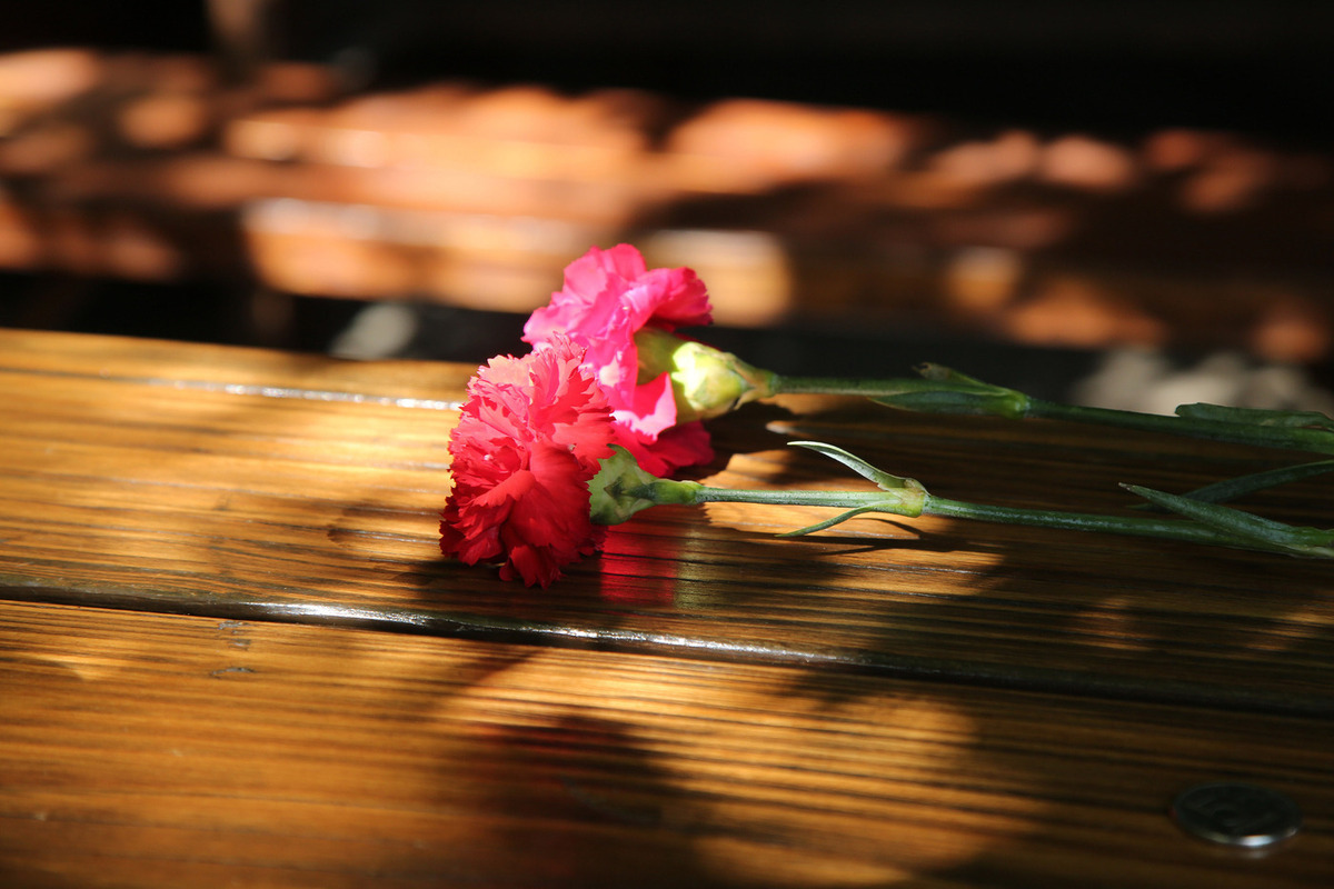 Фото: Лилия Шарловская