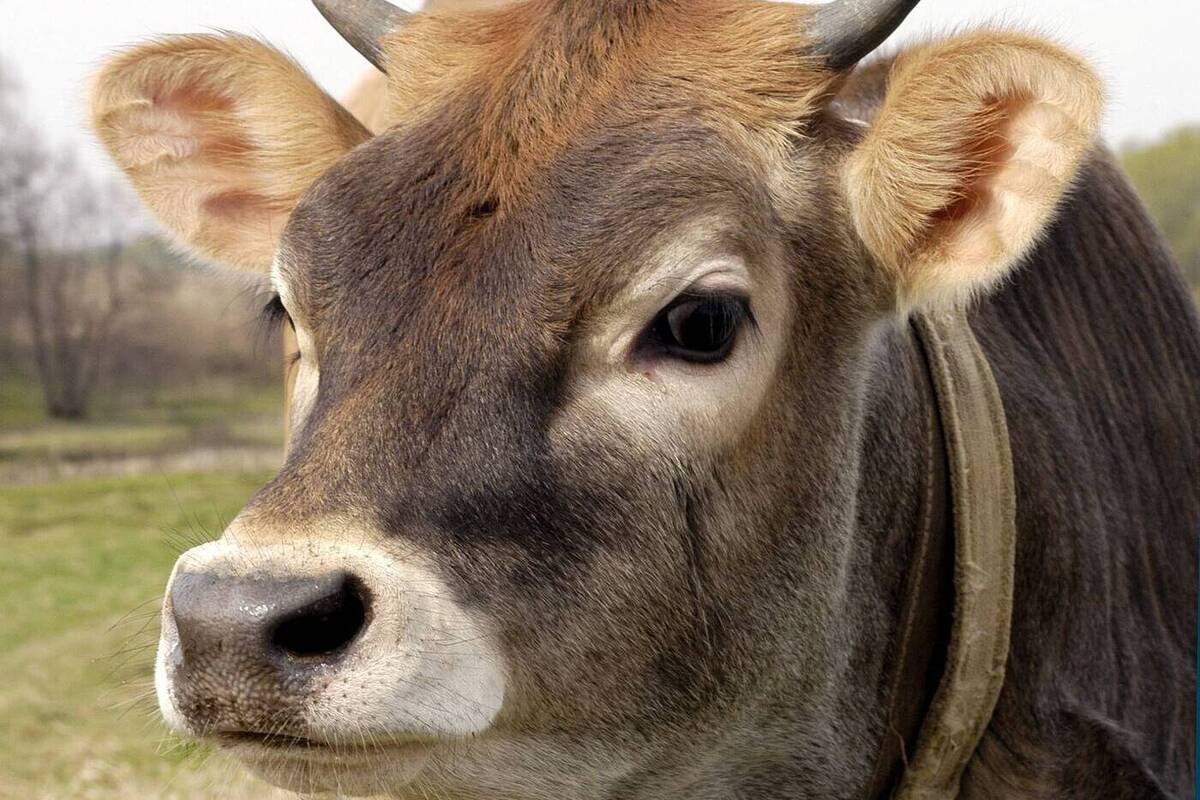 Фото: Александр Корнющенко