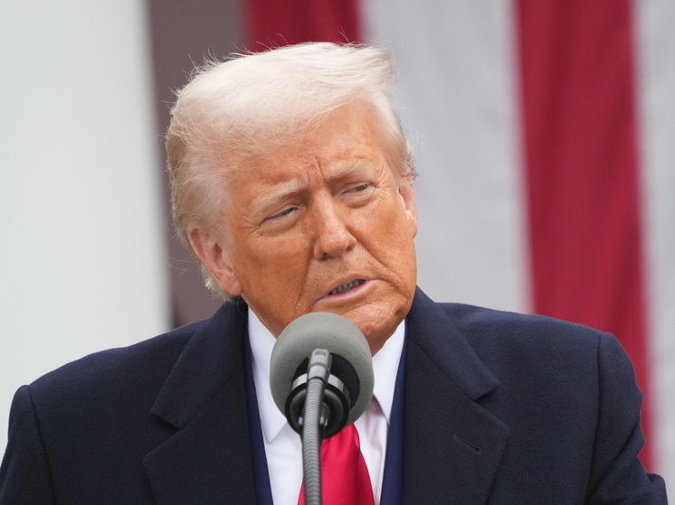Меркурис: Трамп видит в Россию страну экономических возможностей