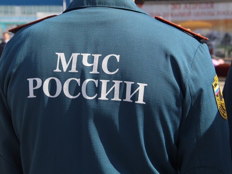 В Еврейской автономии спасатели ищут пропавшего на пасеке мужчину