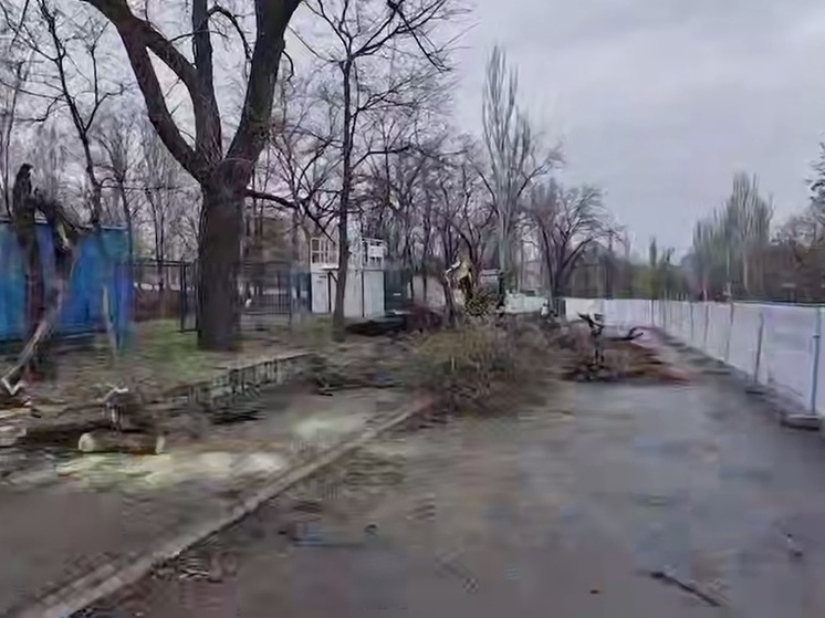 Благоустройство сквера «Металлург» в Донецке завершат к осени
