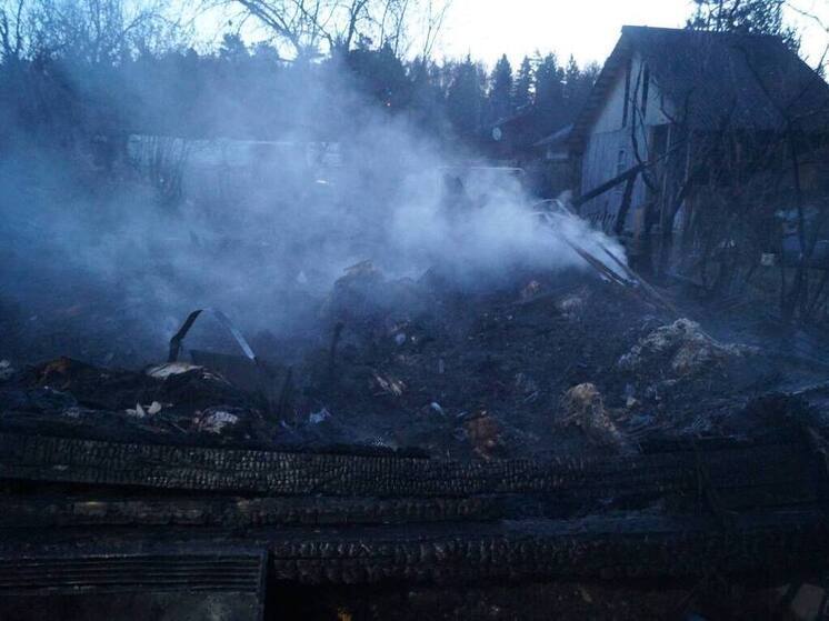 Три человека, в том числе ребенок погибли при пожаре в Подмосковье