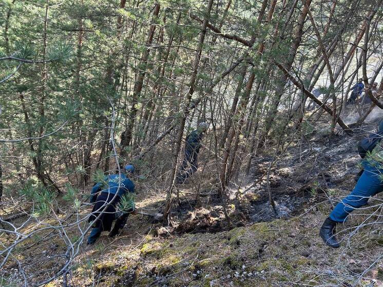 Природный пожар потушили в Левашинском районе Дагестана