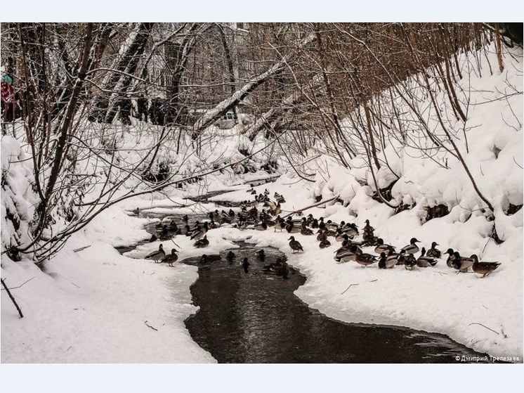 В Перми проверят качество воды в восьми реках