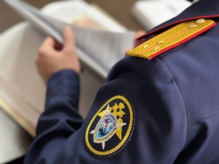 Жительница Воронежа сняла с 13-летним сыном интимное видео и отправила знакомому из сети