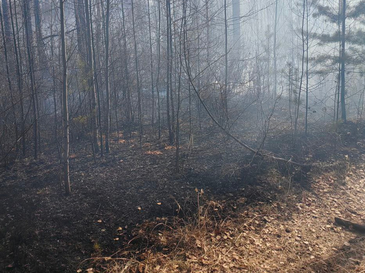 За неделю пять детей в Забайкалье устроили три пожара