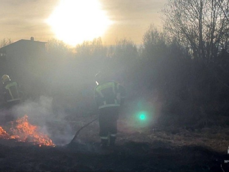 Введен особый противопожарный режим в Великолукском и Новосокольническом районах