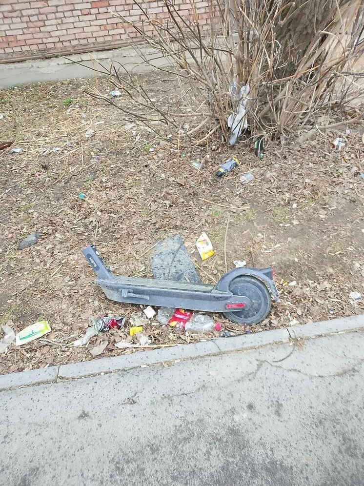 В Туле на Пузакова сломали самокат