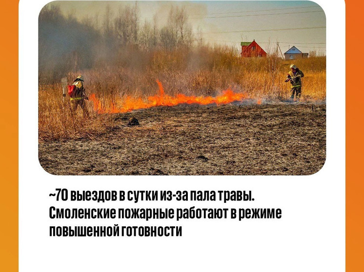 В Смоленской области из-за поджогов сухой травы выгорело уже больше 1000 гектаров