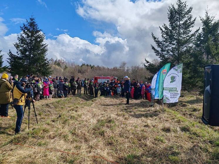 В акции «Сад памяти» приняли участие более 150 калининградцев