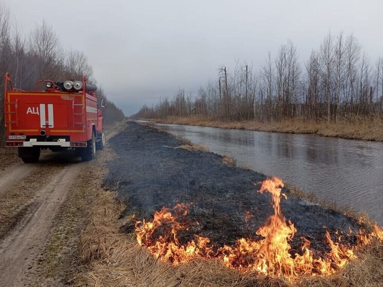 Лесной пожар пришлось тушить в округе Шатура