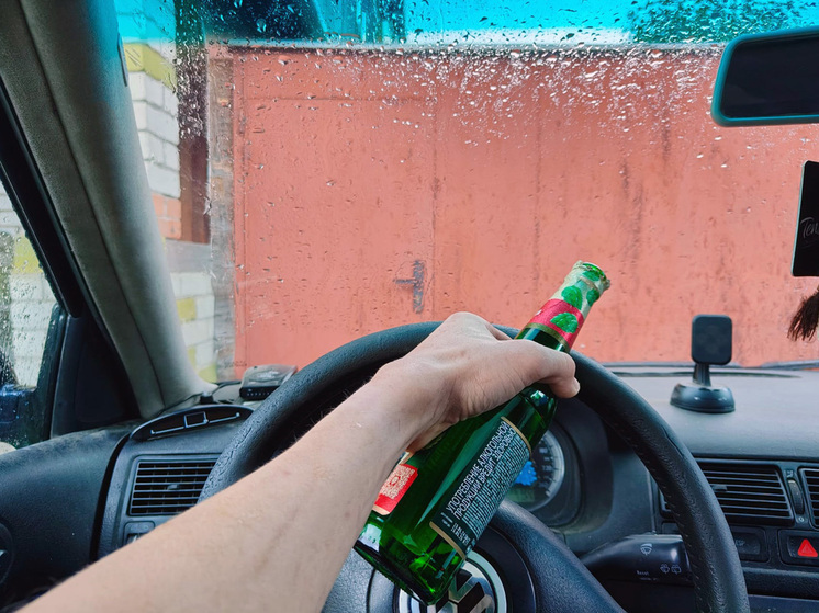 Пьяный водитель в Липецке настойчиво совал взятки автоинспекторам