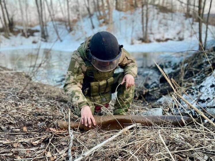 В ЕАО нашли и обезвредили снаряд времен Великой Отечественной войны