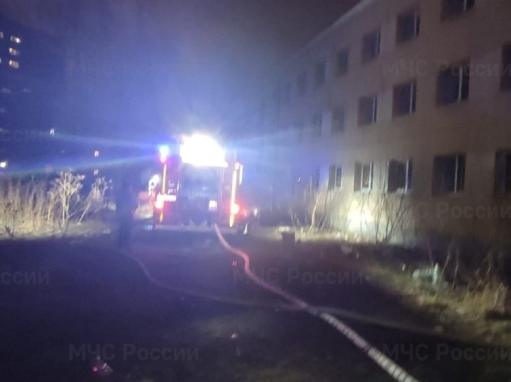 В Екатеринбурге в пожаре на Пехотинцев погиб человек