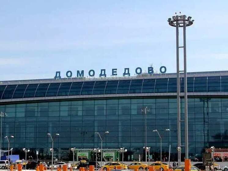 Суд начнет рассмотрение дела о национализации «Домодедово» 14 мая