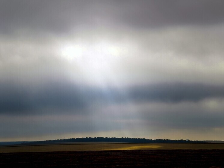 Почти 630 контрольных мероприятий провёл с начала года тульский Росреестр