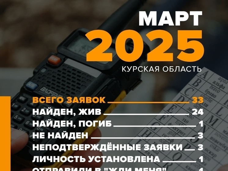 В марте курские волонтеры получили 33 заявки на поиск пропавших людей