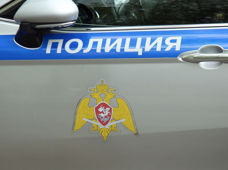 Задержали подозреваемого в краже пленки на 700 тысяч рублей