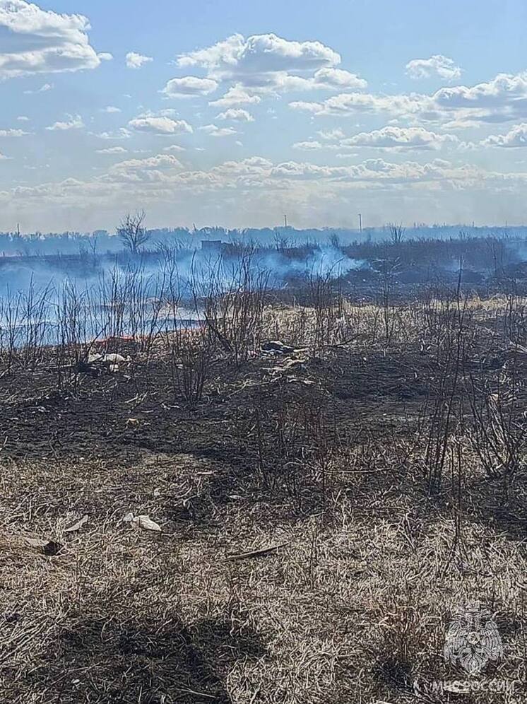 В Оренбургской области крупный ландшафтный пожар подступил к заповеднику