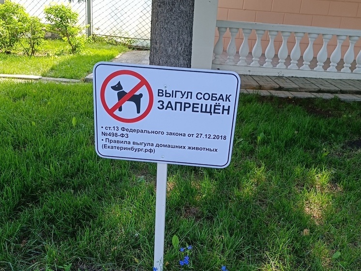 В Нижней Туре взыскали компенсацию вреда для девочки, покусанной собакой