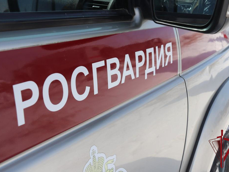 Покупатели помогли задержать пытавшуюся украсть товар женщину в Забайкалье