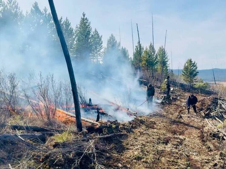 Более 300 человек борются с лесными пожарами в Бурятии