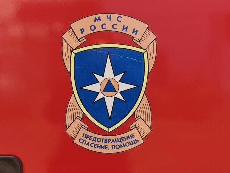 МЧС: девочка застряла в конструкции детской площадки в Биробиджане