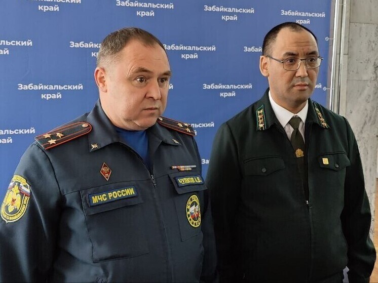 Больше половины природных пожаров в Забайкалье устроили дети