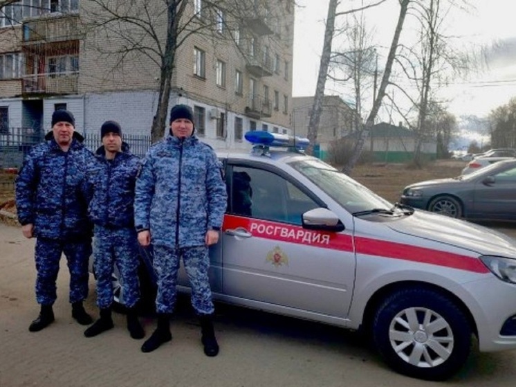В Ярославской области росгвардейцы спасли беременную автоледи