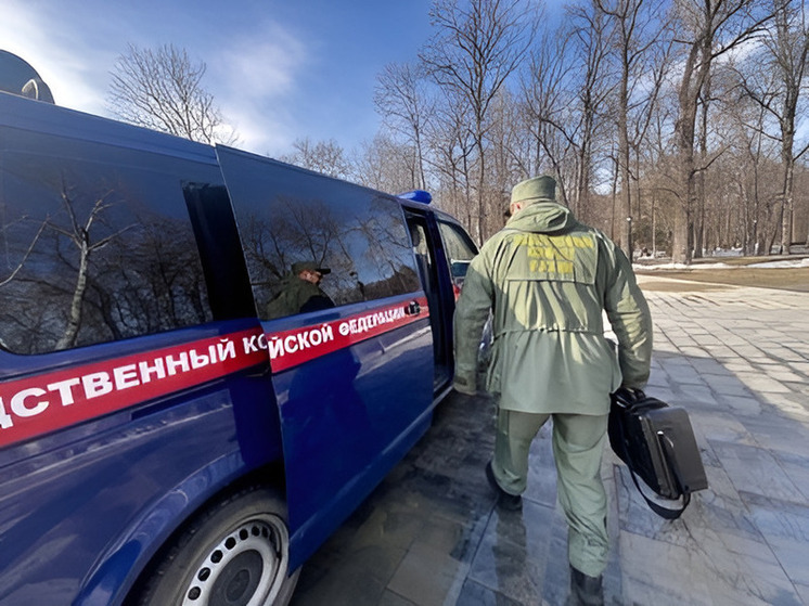 Полсотни подростков собирались «набить лицо» школьнику, отпинавшему липчанина