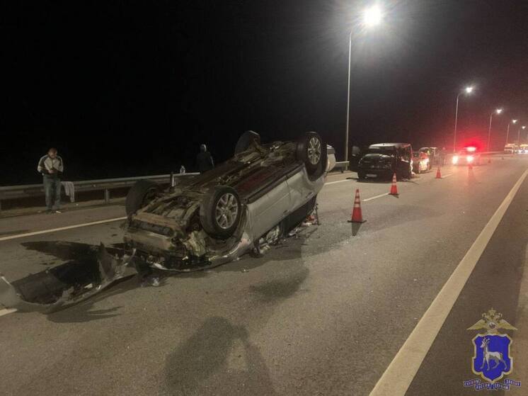 В ДТП с 3 авто в Самарской области погиб лось и пострадали 3 человека