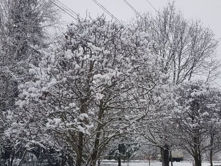 В Подмосковье за сутки выпала треть месячной нормы осадков