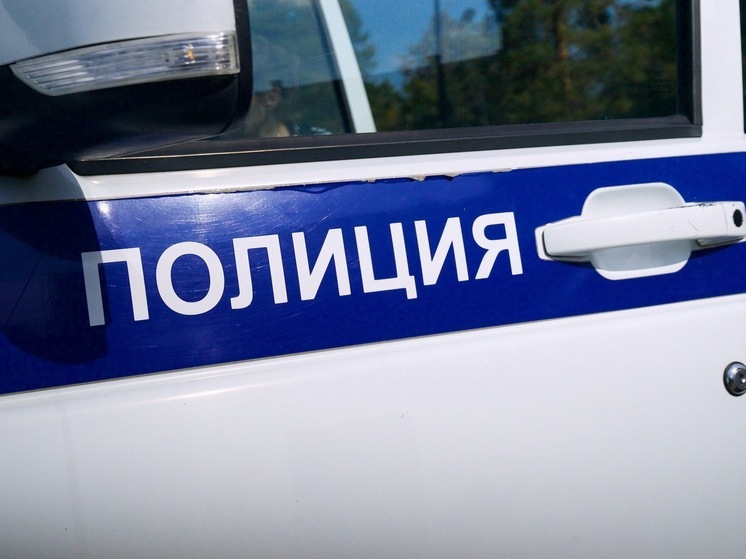 В Магнитогорске рецидивист выследил девушку из-за пакета с продуктами