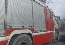 На пожаре погиб пенсионер